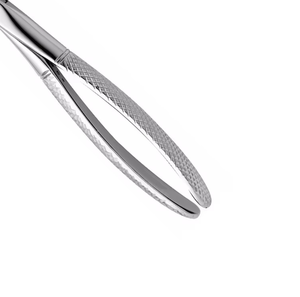 Pinzas de Extracción Dental Plateadas con Empuñadura Manual Moleteada, Instrumento Quirúrgico Clase I, Equipo Dental Manual - Product Image 6