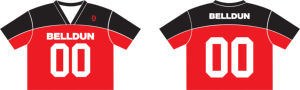 Jersey de Fútbol Americano Personalizado con Sublimación, Unisex para Adultos, Transpirable, de Poliéster, Ropa Deportiva, Servicio OEM, Jersey de Práctica - Product Image 3
