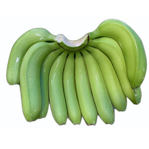 Racimos de Plátanos Cavendish Frescos de Primera Calidad Orgánicos de Grado AA del Mercado del Reino Unido Plátanos Verdes - Product Image 1