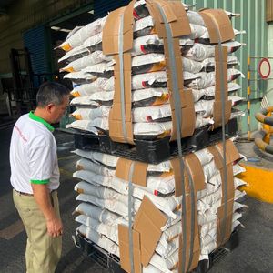 Tapis en fibre de coco pressée à chaud, écologique et haut de gamme, protection pour revêtement de sol en fibres végétales – Vente Flash - Product Image 6