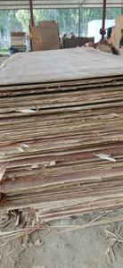 Contrachapado de Álamo de Alta Calidad para Aplicaciones Estructurales, Encofrados y Uso en Muebles - Product Image 5