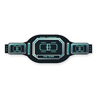 Ceinture de championnat personnalisée double courant pour Tag Team, Wrestling, Boxe, MMA, avec plaques métalliques, cuir PU, logo personnalisé, OEM, souvenir