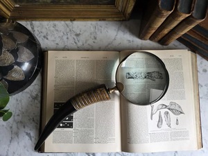 New Buffalo Horn Handle Eco-Friendly Handmade <b>Magnifying</b> Glass for Precision Reading and Classic Vintage Style High Quality - Product Image 4