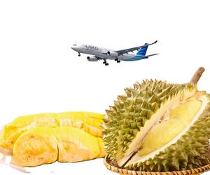 ทุเรียนมันทองแช่แข็ง รสชาติเขตร้อนแท้จากประเทศไทย เนื้อทองหวานสดใหม่ 500 กรัม อายุการเก็บรักษา 14 วัน สำหรับขายส่ง - Product Image 1