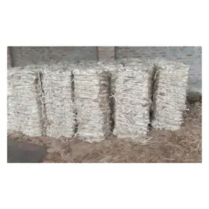 可出口的新型高品质原白黄麻批发全球出口低价天然白黄麻纤维从孟加拉国2023