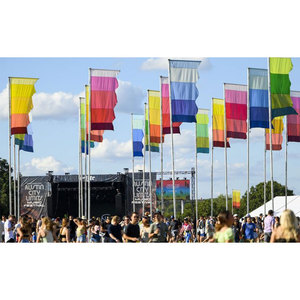 Banderas Coloridas para Festivales, Decoraciones para Eventos al Aire Libre, Diseño de Rayas Multicolores, Alta Visibilidad - Product Image 1