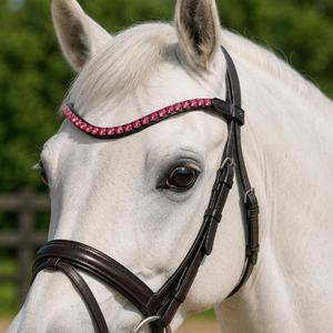 HM Global Premium Elegant U Shaped Multi Color 10 mm Arena Crystal Handmade Horse Browband Luxury Riding Tack - Product Image 4