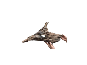 Décoration d'aquarium en bois flotté naturel, forme irrégulière, ornement pour aquarium, décor de fond écologique, fabriqué au Vietnam - Product Image 3