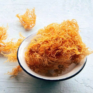 Musgo Irlandés (Seamoss) de Vietnam con Kappaphycus Alvarezii (Cottonii) y Eucheuma Denticulatum (Spinosum) - Product Image 1