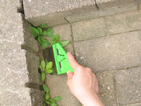 ZASSO-BURASHI TONGARI Set Alat Penyiang Rumput Baja Tahan Karat JAPAN NISAKU Alat Kebun DIY Pegangan Lurus Polipropilena Model No.2511