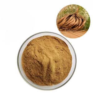 Extracto de Raíz de Shatavari de Alta Calidad 10:1 en Polvo, 100% Puro y Natural, Ayuda a Reducir el Estrés en Mujeres - Product Image 3