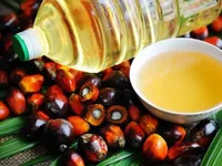 Aceite de Palma para Cocinar Cradle Life LAP NATURE - 12 Meses de Vida Útil, Listo para Usar, Guardar en Lugar Fresco y Seco, Lejos de la Luz Solar, Fabricado en India
