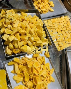 ชิ้นขนุนอบแห้งแช่แข็ง 7 กก./ถุง จากเวียดนาม โดย 99 โกลด์ ดาต้า รสหวานกรอบธรรมชาติ พร้อมส่งออก - Product Image 5