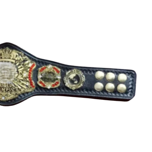 Ceinture de championnat premium, ceinture de lutte personnalisée, édition collector de haute qualité, designs or et noir - Product Image 3