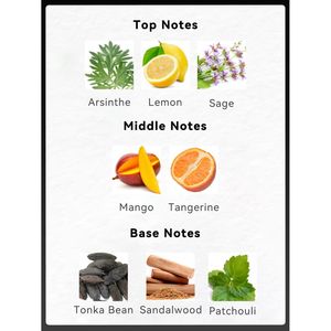 Coffret cadeau de rasage pour homme, eau de toilette en vaporisateur, longue durée, 3,4 fl.oz/100 ml, parfum Arsinthe citron sauge et 2,8 fl.oz/80 ml - Product Image 6