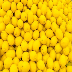 Vente en gros de citrons Eureka, qualité constante pour les marchés de détail et de services alimentaires - Product Image 6