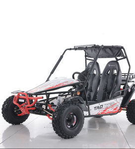 Go Kart Todoterreno Tao Motor de 200cc con Arranque Eléctrico - Product Image 2