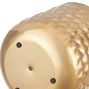 Maceta de Metal con Textura de Piña Dorada, Decorativa para Interiores, Contenedor para Flores, para Hogar Moderno, Sala de Estar, Balcón, Oficina - Product Image 4