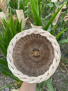 Maceta Artesanal de Mimbre y Ratán, Ideal para Exhibir Plantas y Decoración Natural del Hogar, Jardinería Interior, Hecha en India - Product Image 3