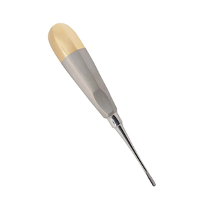 Pinzas de Extracción de Raíces Dentales de Acero Inoxidable, Instrumentos Quirúrgicos para Cirugía Oral - Product Image 2