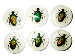 Cabujón de Plástico Redondo de 38.5x38.5 mm con Diseño de Escarabajo Chafer Verde, Base Plana Brillante para Manualidades y Joyería - Product Image 6