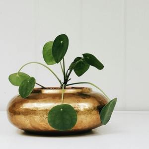 Pot de fleurs en métal de qualité supérieure pour l'intérieur et l'extérieur, avec une finition lisse, pour un style contemporain de la maison et du jardin - Product Image 1