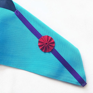 Roseta de Rito Memphis-Misraim Master Sash, de Cuero Premium, Bordada a Mano con Hilos de Oro, Regalia Ceremonial para Logia Azul - Product Image 2