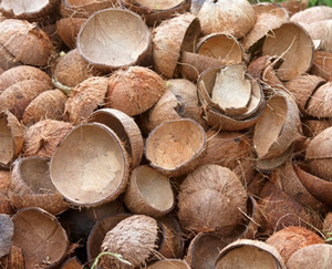 Carbón Vegetal Natural de Cáscara de Coco VIGI FARM de Primera Calidad, Procesado a Máquina, 9000+ Kcal/kg, Sin Ceniza, para Barbacoa (BBQ), Vietnam - Product Image 3