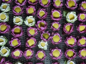 EXPORTATION DE FLEURS DE LOTUS SÉCHÉES POUR LE THÉ DU VIETNAM - Product Image 4