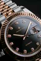 Montre mécanique automatique pour homme Alexander Ferros 8132D/01 avec fermoir pliant saphir, acier inoxydable, résistante à l'eau