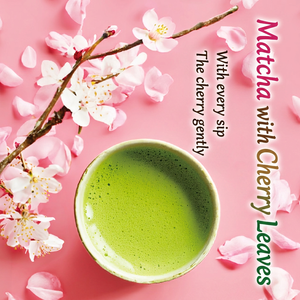 Matcha en Polvo Duradero a Granel, Proveedor Japonés de Té Verde en Polvo Premium para Exportación - Product Image 3