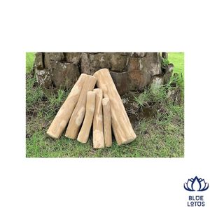Bâtonnets à mâcher en bois de café naturels, sans éclats, pour chiens – Soin dentaire et santé – Prix de gros pour l'exportation – Vente chaude - Product Image 1