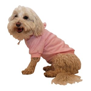 Felpa con Cappuccio in French Terry per Animali Domestici, Comodo Maglione con Cappuccio per Animali - Product Image 4