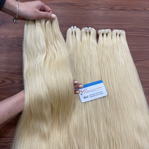 Extensions de cheveux vietnamiennes colorées en trame, cheveux humains blonds, bruns, ombrés, fournisseur de haute qualité, prix de gros - Product Image 6