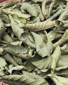 Feuilles de Goyave Premium / Traitées Hygiéniquement / Utilisées pour les Tisanes et les Remèdes Traditionnels - Product Image 3