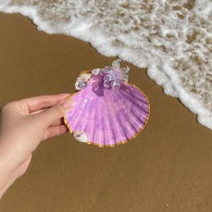 จานใส่เครื่องประดับเปลือกหอยเชลล์ งานแฮนด์เมดจากเปลือกหอยธรรมชาติ ถาดตกแต่งสไตล์ชายทะเล ของตกแต่งบ้าน งานฝีมือ ขายส่งจากโรงงาน - Product Image 3