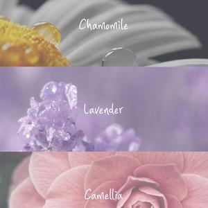 Loción Corporal Perfumada Korea Floral Dream 500ml con Manteca de Karité K-Beauty Kose Janssen - Product Image 5