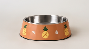 Gamelle Moderne en Émail Ananas Tropical Anti-Renversement pour Animaux de Compagnie, Bol Rond en Métal pour Chien et Chat, Distributeur d'Aliments avec Base Antidérapante en Caoutchouc, Vente en Gros - Product Image 4