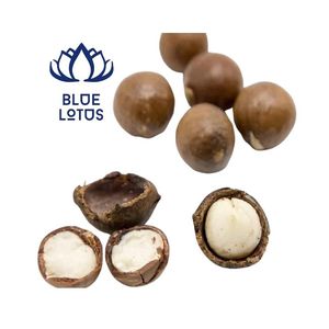 Disponible : Noix de macadamia écologiques de qualité supérieure, croquantes et durables pour l'alimentation quotidienne - Product Image 1