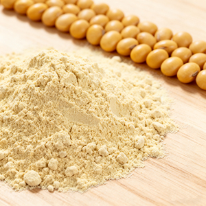 Concentré de protéines de soja de qualité alimentaire, protéines végétales de qualité supérieure, approvisionnement en vrac pour l'industrie agroalimentaire - Product Image 6