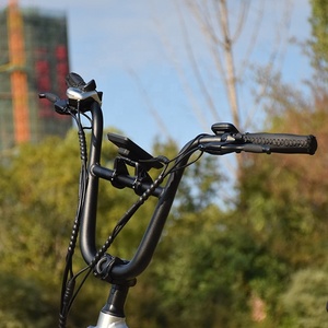 RaiderRunner-34F le <span class=keywords><strong>meilleur</strong></span> vélo Cargo électrique 20 pouces 750W 48V vélo électrique à gros pneus, vélo de ville électrique pour les familles - Product Image 2