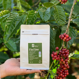 Café Robusta en Grano, Tueste Oscuro, Sabor Dulce, Calidad Premium, Disponible con Marca Privada - Product Image 3