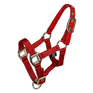 En gros, Mini-voile en nylon pour cheval miniature, réglable, avec ferrures en laiton de qualité supérieure, pour l'entraînement, OEM - Product Image 2