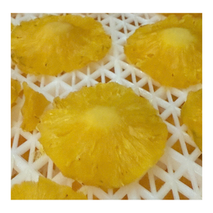 High Quality Soft Dried Pineapple with Competitive Prices for Bulk Orders and Wholesale Distribution - Product Image 1
