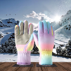 Guantes Clásicos de Invierno para Motociclismo, Ciclismo, Snowboard y Esquí, con Aislamiento Térmico y Pantalla Táctil, para Hombre, con Etiqueta Privada - Product Image 2