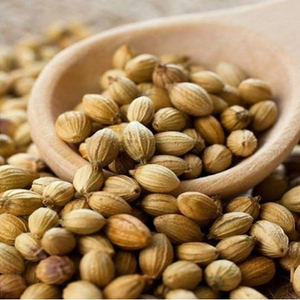 Graines de coriandre en gros les plus vendues, qualité supérieure, approvisionnement en vrac, qualité alimentaire, prêtes à être expédiées, exportation - Product Image 6