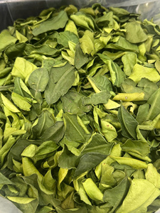 Hojas de Limón Kaffir Secas de Alta Calidad, Hierba Seca Natural para Cocinar, Sazonar Comida Tailandesa y Culinaria Asiática, Venta al por Mayor - Product Image 6
