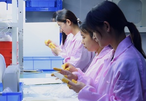 ฟิล์มกระจกนิรภัย 3 มิติ 9H ป้องกันการมองเห็น สำหรับสมาร์ทโฟนรุ่น 14/13/12/11/6/7/8/X/XR/<span class=keywords><strong>XS</strong></span>/<span class=keywords><strong>MAX</strong></span> - Product Image 6