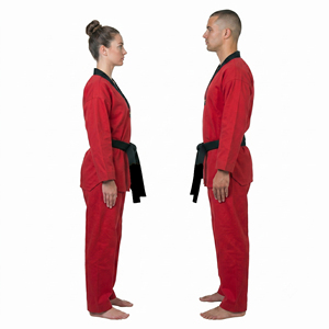 Uniforme de Taekwondo Unisex Premium, Uniforme de Artes Marciales con Cuello en V, Traje de Entrenamiento de Taekwondo para Boxeo - Product Image 2
