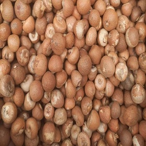 Achetez en ligne des noix de Batel fraîches, soigneusement sélectionnées, de qualité naturelle, riches en saveur, collation nutritive, parfaites pour un mode de vie sain - Product Image 2